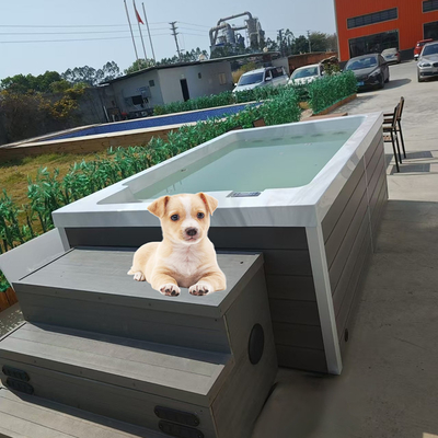 Acrylic Doggy Pet Swimming Pool for Dog Water Playing